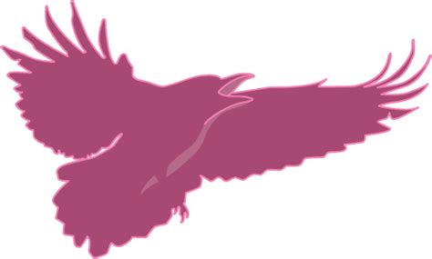 Pink Raven Ts