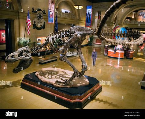 DINOSAUR SKELETON, BEN STILLER, NIGHT AT THE MUSEUM, 2006 Stock Photo ...