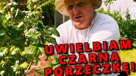 Też UWIELBIASZ CZARNĄ PORZECZKĘ dżem a nie wino Dom Pachnący Żywicą