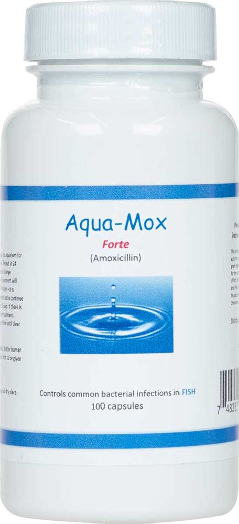 Aqua Mox Forte Fish Antibiotic Brand May Vary Antibiotics Pet