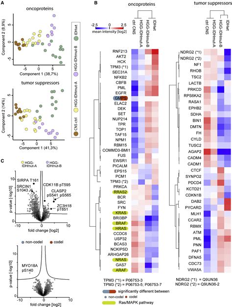 Proteomics Separates Adult Type Diffuse High Grade Gliomas In Metabolic