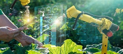 The Rapid Growth Of Ai In Agriculture Agritech Future