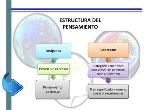 Estructura Del Pensamiento