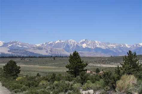 Living and Dyeing Under the Big Sky: High Sierra Mountains