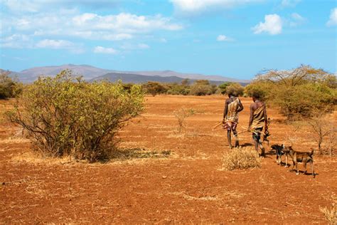 New Study Provides Insight into Social Structure of Modern Hunter ...