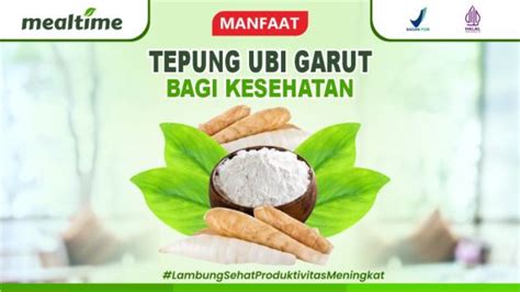 Manfaat Tepung Umbi Garut untuk Kesehatan - Mealtime