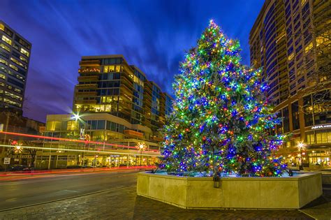 City Lights A Festive Hd Wallpaper Of A Christmas Tree By Carl Larson