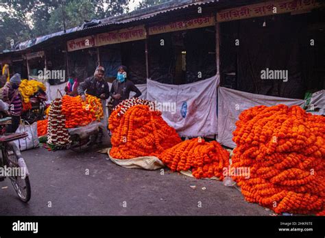 Due To The Unseasonal Rains Of December And January The Flowers Have Started To Rot The Amount