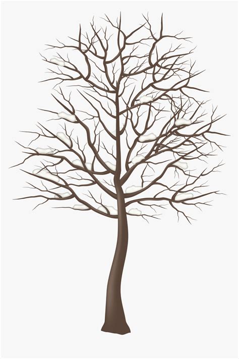 Simple Winter Tree Clipart