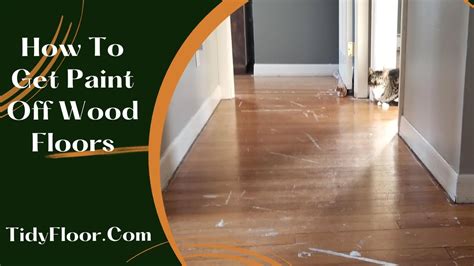 How To Get Paint Off Wood Floors Get Paint Off Wood Floors Tidy