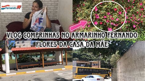 VLOG FIZ ALGUMAS COMPRINHAS ALEATORIAS DIA DE REUNIAO NA ESCOLA YouTube