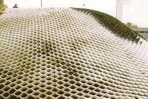 Trotuar.ru - Георешетка: наши работы