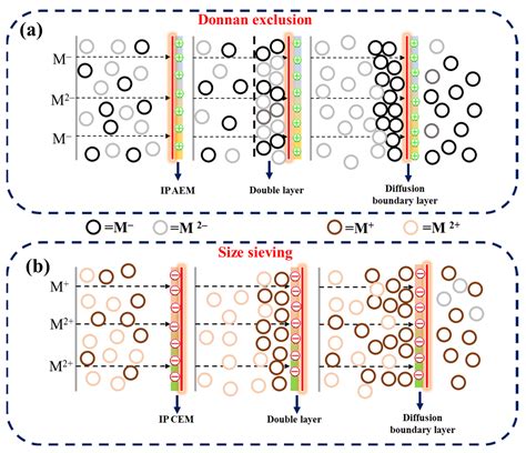 Membranes Free Full Text Valorization Of Seawater Reverse Osmosis