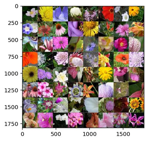 Github Youssefkamil Image Classification Flowers Using Nn Transfer Learning Pytorch Using