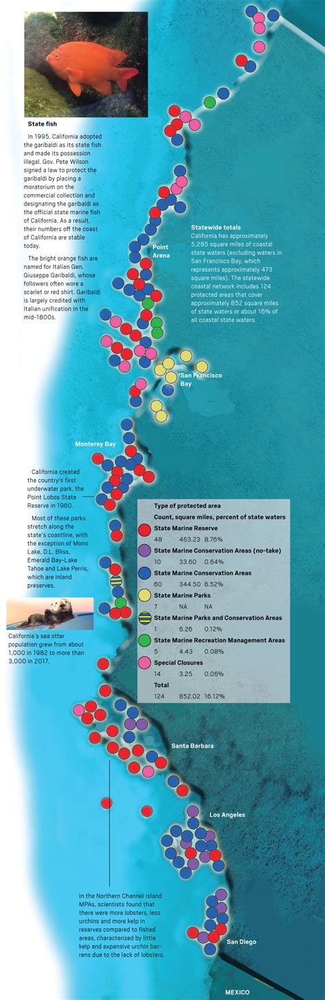 Californias Network Of Marine Protected Areas Is Ready For Its