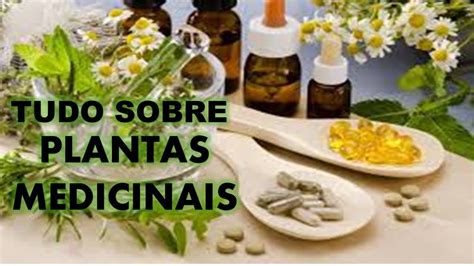 APRENDA TUDO SOBRE PLANTAS MEDICINAIS YouTube