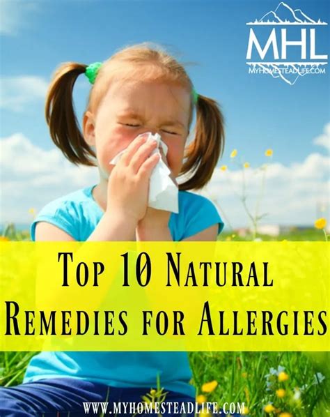 Top 10 Natural Remedies For Allergies My Homestead Life