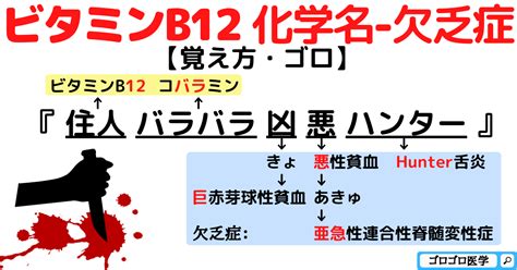 ビタミンb12欠乏症・コバラミンの覚え方・ゴロ【cbt国試対策】 ゴロゴロ医学