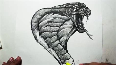 How To Draw A Realistic Snake Head Step By Step Design Talk