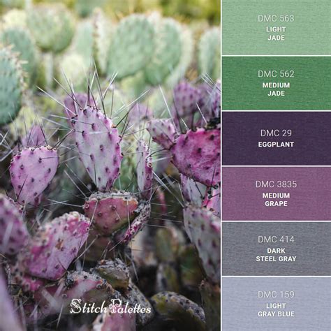 Cactus Color Palette