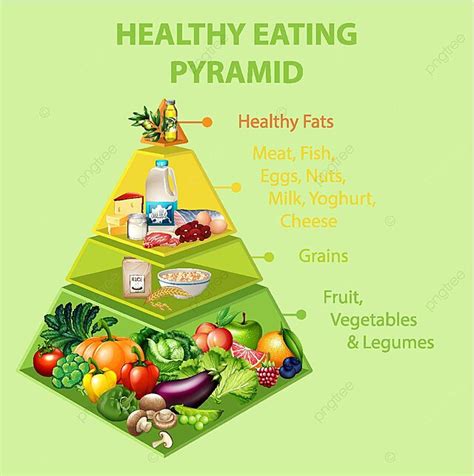 Healthy Eating Pyramid Chart Fish Carb Obesity Vector Fish Carb