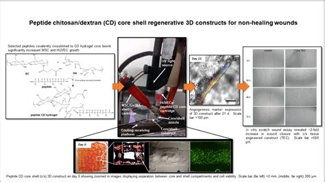 Peptide Chitosan Dextran Core Shell Vascularized 3D Constructs