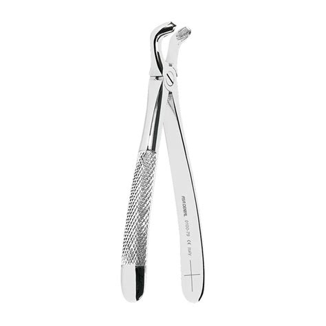 Forceps 79 Asa Dental Royal Dent