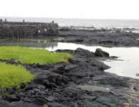 Biomes - Hawaii Volcanoes National Park