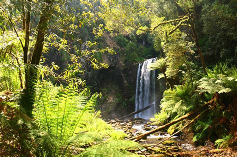 Hopetoun Falls - Classic Plunge Waterfall in the Otways