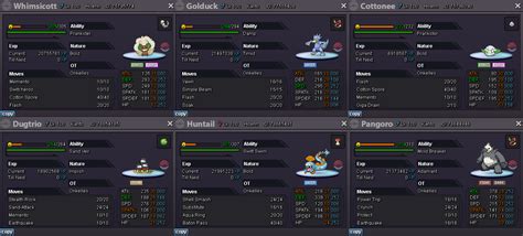 Solid Boss Team for (almost) all Bosses - NPC Battle Guides - Pokemon ...