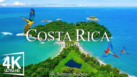 K Costa Rica Immersing In The Rich Rainforests Pristine Beaches