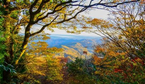 【筑波山の紅葉】2024年の見頃はいつ？現在の状況やライトアップ情報・混雑も！