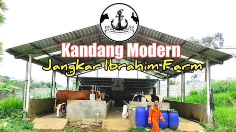 Kandang Sapi Modern Simpel Rapi Dan Ramah Lingkungan Jangkar Ibrahim