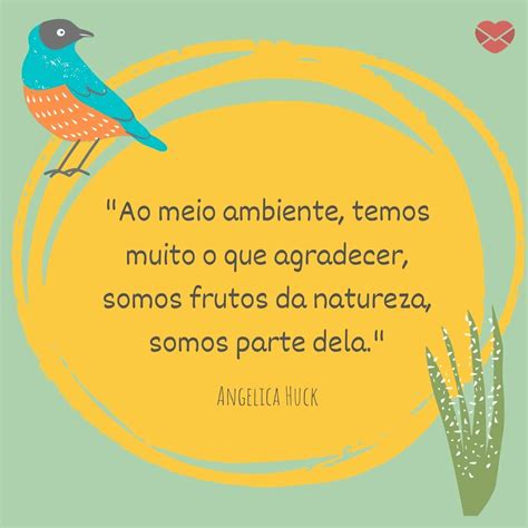 Frases Sobre Meio Ambiente