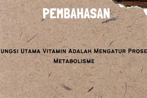 Fungsi Utama Vitamin Adalah Mengatur Proses Metabolisme Beritrust