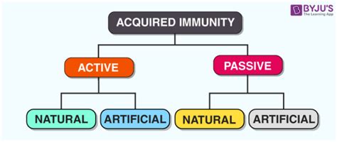 Immunity Explore About Immunity And Immune System