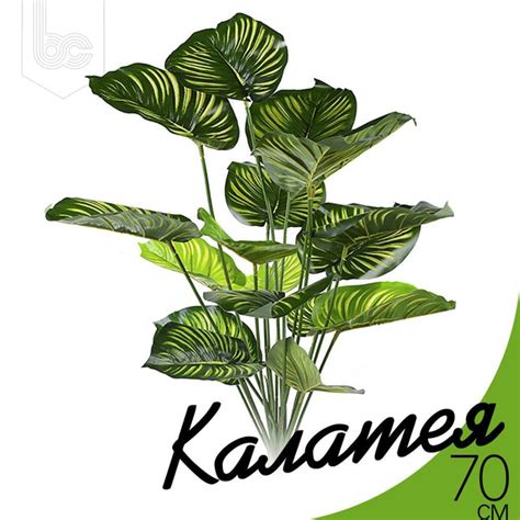 Искусственный стебель Листья Калатеи 70 см - купить с доставкой по ...