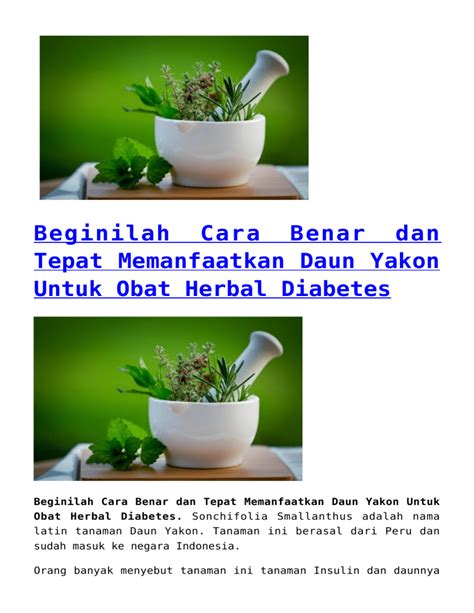 Beginilah Cara Benar Dan Tepat Memanfaatkan Daun Yakon Untuk