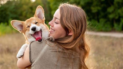 Pet Ownership Statistics 2025 Forbes Advisor