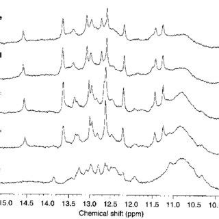 Imino Proton Region Of The Mhz H Nmr Spectra Of Pk The Spectra