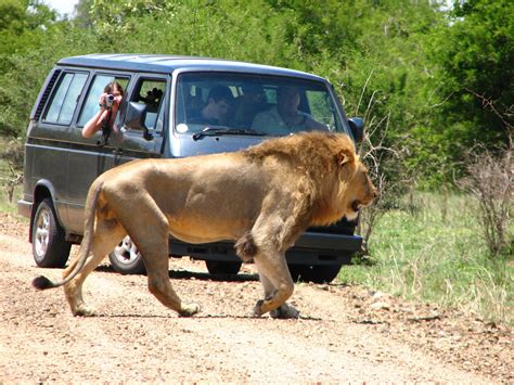 Animal Photo: Africa National Park