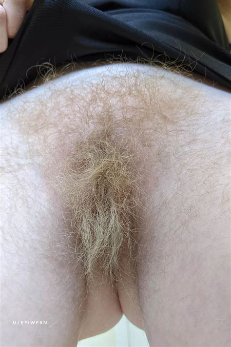 I M A Wild Blonde Nudes Blondebush NUDE PICS ORG