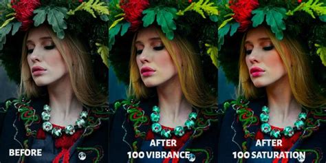 Vibrance Vs Saturation In Photography The Key Differences