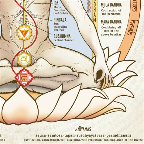 Chakra Yoga Poster ENGLISCH Kundalini Nadis Chakras Bandhas