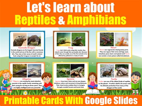 Lets Learn About Reptile And Amphibians Printable And Digital Cards For