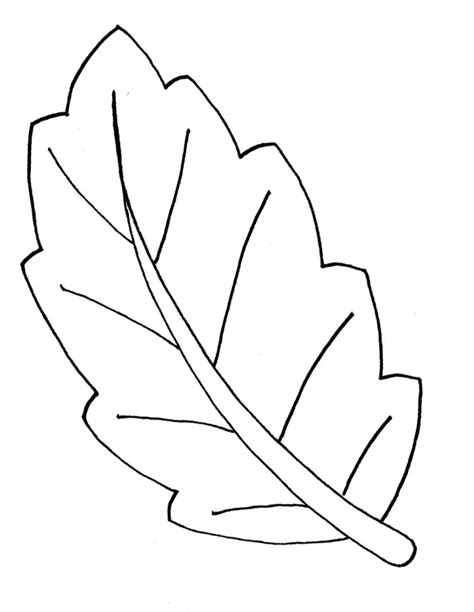 Leaf Shape Colouring Pages Casa Minimalista