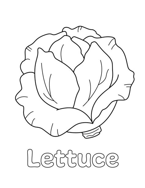 Colorful Lettuce Coloring Page