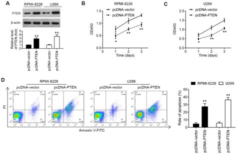 Downregulation Of Microrna‑25‑3p Inhibits The Proliferation And