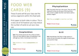 Penguin Food Web | Teaching Resources