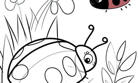 Coloriage d une coccinelle mignonne à Télécharger ou à Imprimer